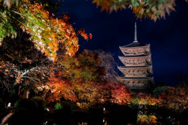 Parlak beş katlı pagoda canlı bir sonbahar yeşilliği ile aynalanmış 25 Kasım 2025