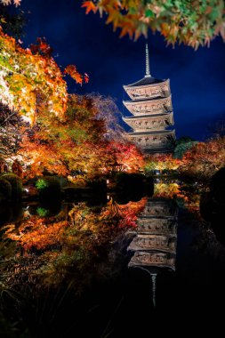 Parlak beş katlı pagoda canlı bir sonbahar yeşilliği ile aynalanmış 25 Kasım 2025