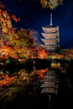 Parlak beş katlı pagoda canlı bir sonbahar yeşilliği ile aynalanmış 25 Kasım 2025