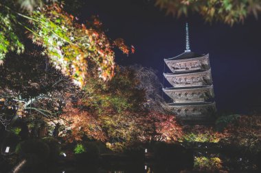 Parlak beş katlı pagoda canlı bir sonbahar yeşilliği ile aynalanmış 25 Kasım 2025