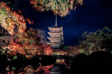 Parlak beş katlı pagoda canlı bir sonbahar yeşilliği ile aynalanmış 25 Kasım 2025