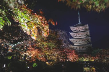 Parlak beş katlı pagoda canlı bir sonbahar yeşilliği ile aynalanmış 25 Kasım 2025