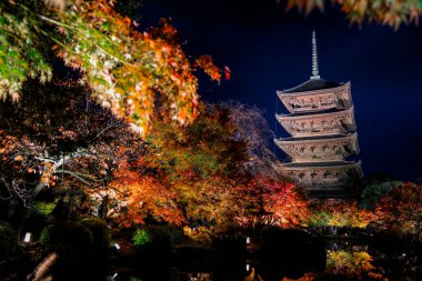 Parlak beş katlı pagoda canlı bir sonbahar yeşilliği ile aynalanmış 25 Kasım 2025