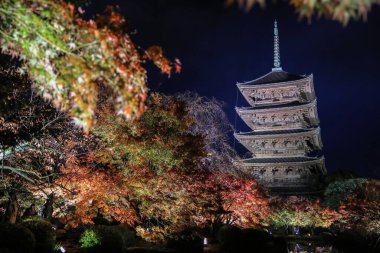 Parlak beş katlı pagoda canlı bir sonbahar yeşilliği ile aynalanmış 25 Kasım 2025