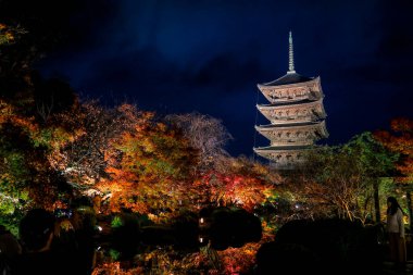 Parlak beş katlı pagoda canlı bir sonbahar yeşilliği ile aynalanmış 25 Kasım 2025