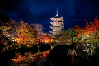 Parlak beş katlı pagoda canlı bir sonbahar yeşilliği ile aynalanmış 25 Kasım 2025