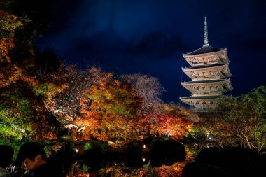 Parlak beş katlı pagoda canlı bir sonbahar yeşilliği ile aynalanmış 25 Kasım 2025