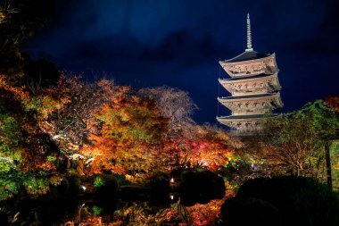 Parlak beş katlı pagoda canlı bir sonbahar yeşilliği ile aynalanmış 25 Kasım 2025