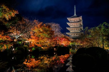 Parlak beş katlı pagoda canlı bir sonbahar yeşilliği ile aynalanmış 25 Kasım 2025