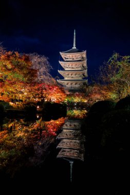 Parlak beş katlı pagoda canlı bir sonbahar yeşilliği ile aynalanmış 25 Kasım 2025