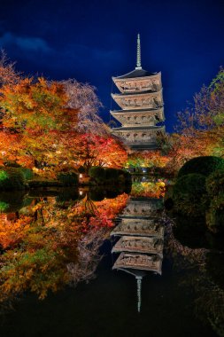 Parlak beş katlı pagoda canlı bir sonbahar yeşilliği ile aynalanmış 25 Kasım 2025