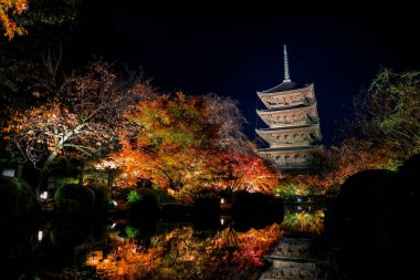 Parlak beş katlı pagoda canlı bir sonbahar yeşilliği ile aynalanmış 25 Kasım 2025