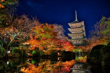 Parlak beş katlı pagoda canlı bir sonbahar yeşilliği ile aynalanmış 25 Kasım 2025