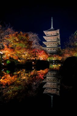 Parlak beş katlı pagoda canlı bir sonbahar yeşilliği ile aynalanmış 25 Kasım 2025