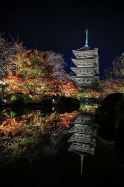 Parlak beş katlı pagoda canlı bir sonbahar yeşilliği ile aynalanmış 25 Kasım 2025