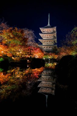 Parlak beş katlı pagoda canlı bir sonbahar yeşilliği ile aynalanmış 25 Kasım 2025