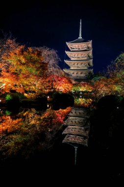 Parlak beş katlı pagoda canlı bir sonbahar yeşilliği ile aynalanmış 25 Kasım 2025