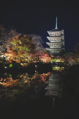 Parlak beş katlı pagoda canlı bir sonbahar yeşilliği ile aynalanmış 25 Kasım 2025