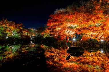 Aydınlatılmış sonbahar yaprakları sakin su yüzeyine yansıtılıyor 25 Kasım 2025