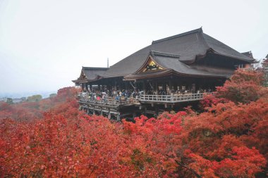 Tarihsel ahşap salon canlı sonbahar yeşillikleri tarafından çerçevelenmiş 25 Kasım 2025