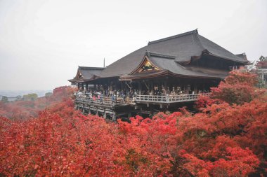 Tarihsel ahşap salon canlı sonbahar yeşillikleri tarafından çerçevelenmiş 25 Kasım 2025