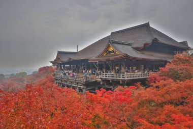Tarihsel ahşap salon canlı sonbahar yeşillikleri tarafından çerçevelenmiş 25 Kasım 2025
