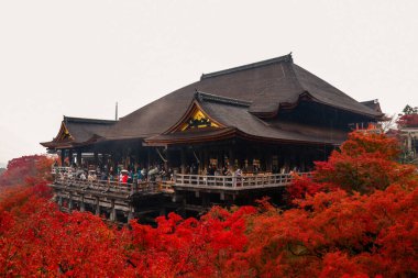 Tarihsel ahşap salon canlı sonbahar yeşillikleri tarafından çerçevelenmiş 25 Kasım 2025