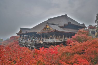 Tarihsel ahşap salon canlı sonbahar yeşillikleri tarafından çerçevelenmiş 25 Kasım 2025