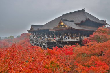 Tarihsel ahşap salon canlı sonbahar yeşillikleri tarafından çerçevelenmiş 25 Kasım 2025