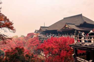 Tarihsel ahşap salon canlı sonbahar yeşillikleri tarafından çerçevelenmiş 25 Kasım 2025