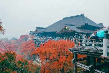 Tarihsel ahşap salon canlı sonbahar yeşillikleri tarafından çerçevelenmiş 25 Kasım 2025