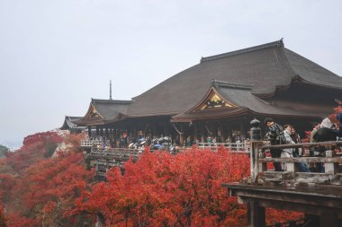 Tarihsel ahşap salon canlı sonbahar yeşillikleri tarafından çerçevelenmiş 25 Kasım 2025