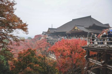 Tarihsel ahşap salon canlı sonbahar yeşillikleri tarafından çerçevelenmiş 25 Kasım 2025