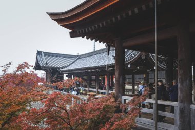 Kyoto 'daki Tarihi Japon Tapınağı Gezginlerini Karşılama Salonu 25 Kasım 2025
