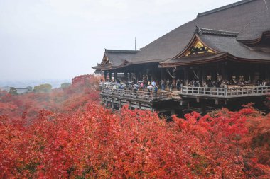 Tarihsel ahşap salon canlı sonbahar yeşillikleri tarafından çerçevelenmiş 25 Kasım 2025