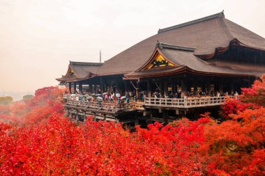 Tarihsel ahşap salon canlı sonbahar yeşillikleri tarafından çerçevelenmiş 25 Kasım 2025