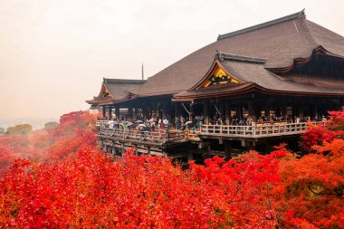 Tarihsel ahşap salon canlı sonbahar yeşillikleri tarafından çerçevelenmiş 25 Kasım 2025