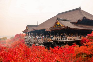 Tarihsel ahşap salon canlı sonbahar yeşillikleri tarafından çerçevelenmiş 25 Kasım 2025