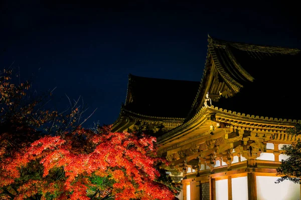 25 Kasım 2025 tarihli tapınakta gece aydınlığı sırasında parlayan kırmızı yapraklar.