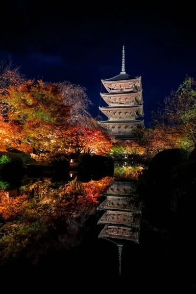 Parlak beş katlı pagoda canlı bir sonbahar yeşilliği ile aynalanmış 25 Kasım 2025