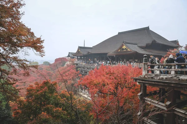 Tarihsel ahşap salon canlı sonbahar yeşillikleri tarafından çerçevelenmiş 25 Kasım 2025