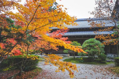 Geleneksel Ahşap Ev Kyoto 26 Kasım 2025 ile Serene Fall Zen Garden