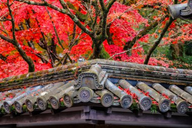 Geleneksel Zen bahçesinde tırmıklanmış kum ve taş düzenleme 26 Kasım 2025