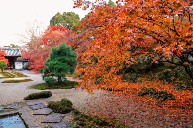 Tenju 'daki Serene Japon Zen Çay Evi Kyoto 26 Kasım 2025