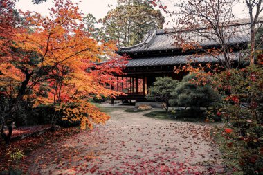 Geleneksel Ahşap Ev Kyoto 26 Kasım 2025 ile Serene Fall Zen Garden