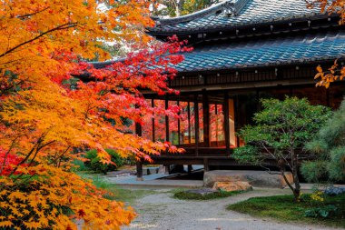 Geleneksel Ahşap Ev Kyoto 26 Kasım 2025 ile Serene Fall Zen Garden