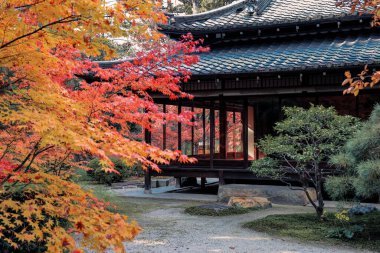 Geleneksel Ahşap Ev Kyoto 26 Kasım 2025 ile Serene Fall Zen Garden