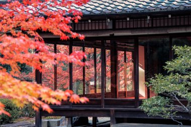 Geleneksel Ahşap Ev Kyoto 26 Kasım 2025 ile Serene Fall Zen Garden
