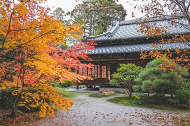 Geleneksel Ahşap Ev Kyoto 26 Kasım 2025 ile Serene Fall Zen Garden