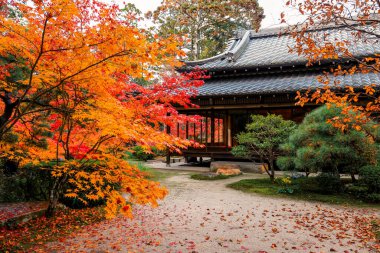 Geleneksel Ahşap Ev Kyoto 26 Kasım 2025 ile Serene Fall Zen Garden